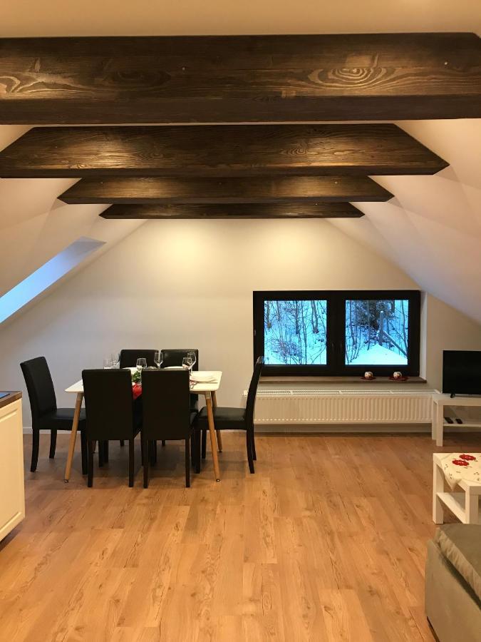 Stronie Śląskie Apartamenty Goszowianka מראה חיצוני תמונה