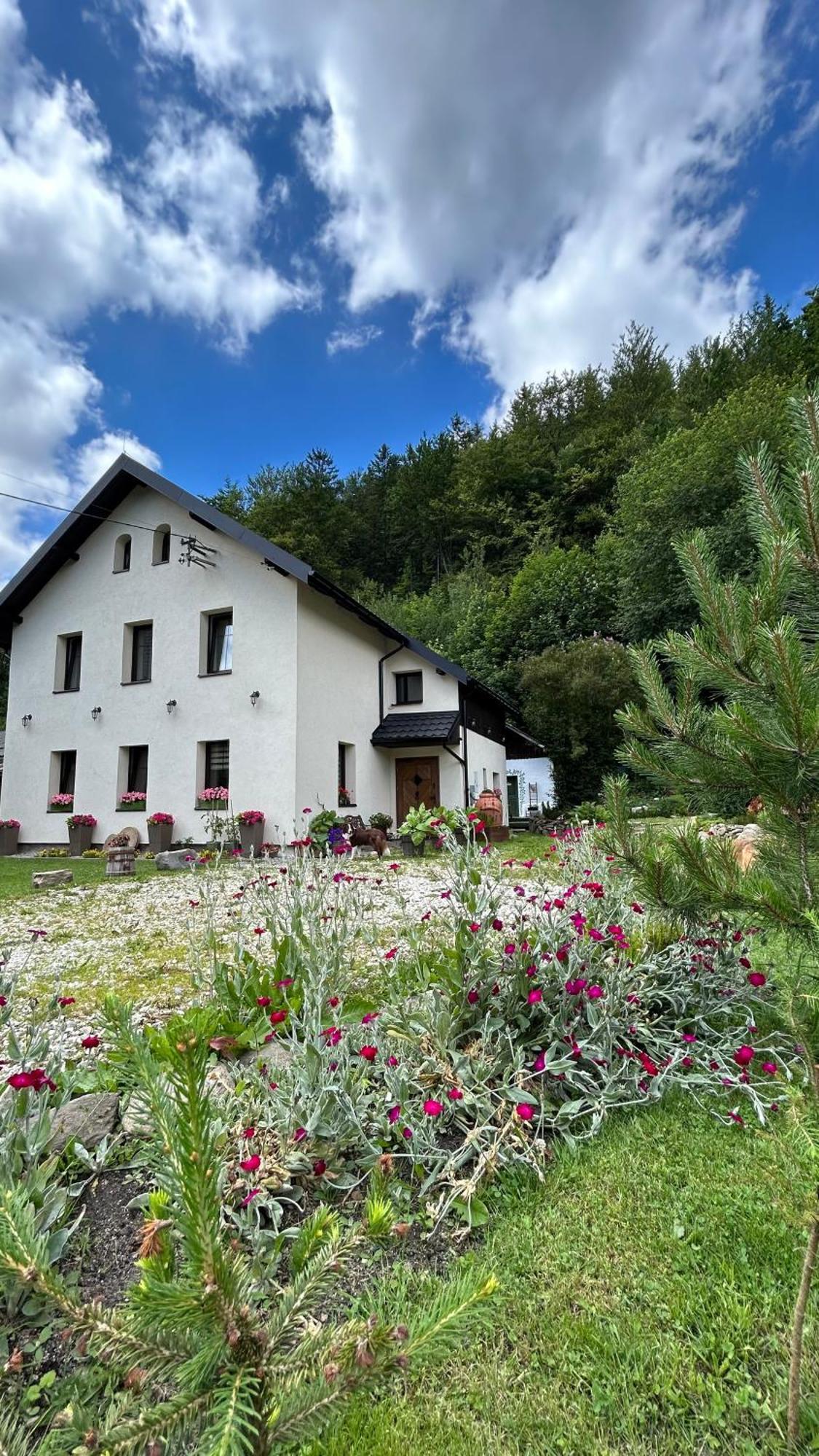 Stronie Śląskie Apartamenty Goszowianka מראה חיצוני תמונה